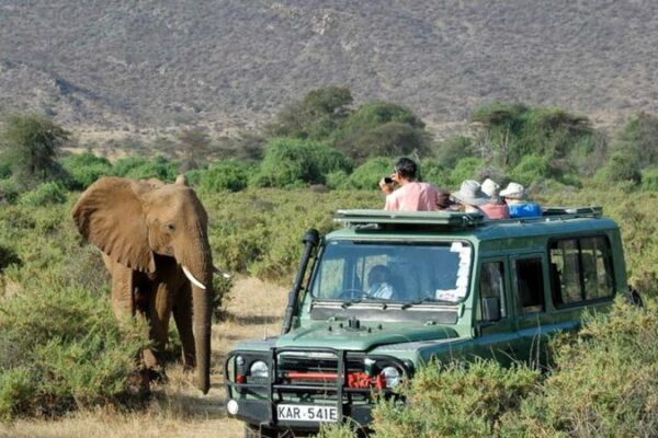 10-Day Kenya Self-Drive Safari