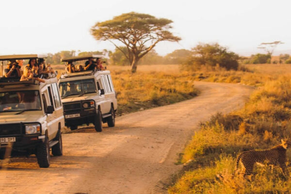 12-Day Kenya and Uganda