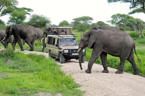14-Day Tanzania Self-Drive Safari
