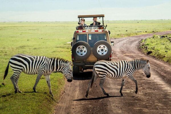 20-Day Tanzania Self-Drive Safari