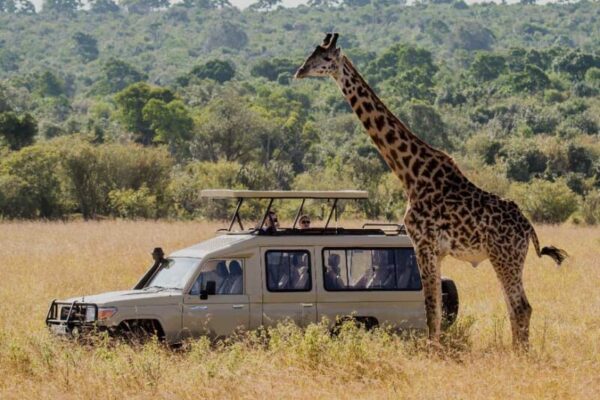 20-Day Tanzania + Uganda + Rwanda