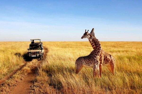 7-Day Kenya Self-Drive Safari