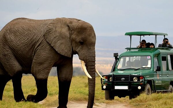 8-Day Rwanda Self-Drive Safari