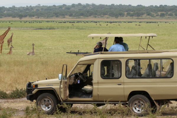 Safaris