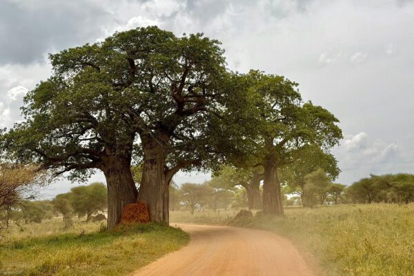 16-Day Kenya Self-Drive Safari