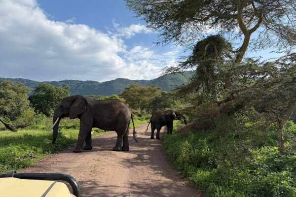 25-Day Kenya and Uganda Self-Drive Safari
