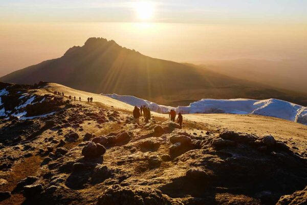 Kilimanjaro and Rwenzori