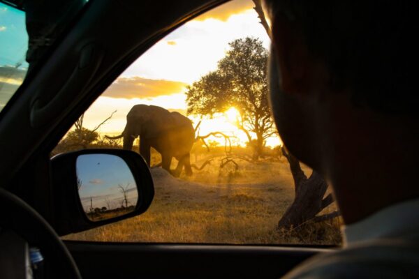 Uganda, Rwanda, and Burundi Self-Drive﻿